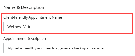 Client-Friendly Appointment Name box